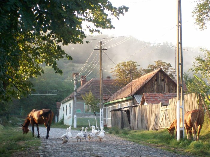 Stanciova, o comunitate deschisă