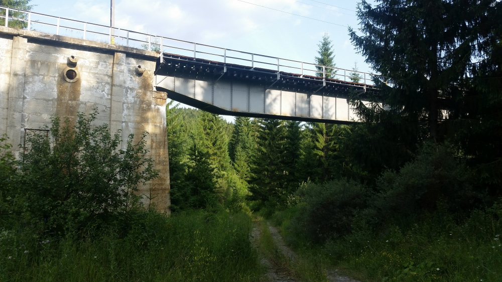 Viaductele de cale ferată dintre Lunca Ilvei și Grădinița
