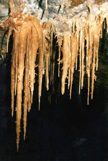 Peștera Izvorul Tăușoarelor