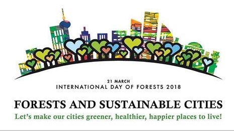 Ziua Internațională a Pădurilor