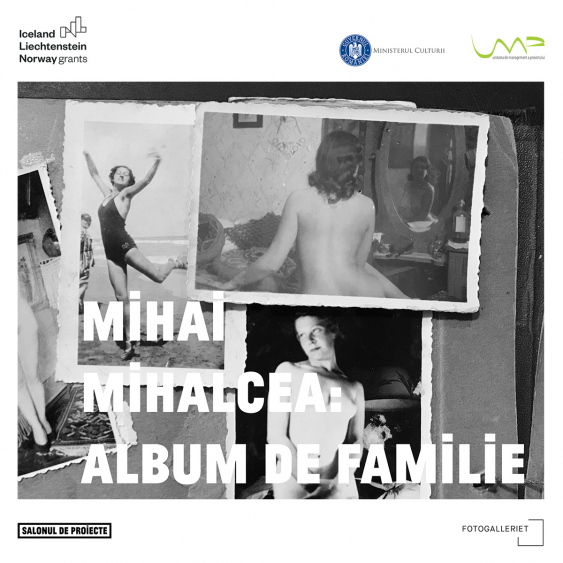 Mihai Mihalcea: Album de familie @Salonul de proiecte