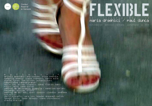 Flexible (2008) @ CNDB Online