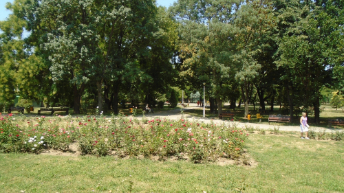 Parcul Floreasca