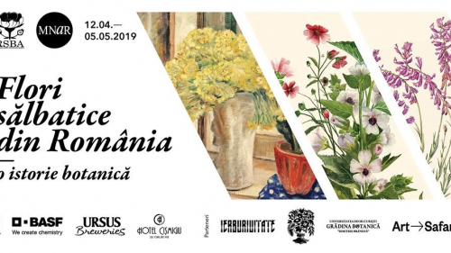 Flori sălbatice din România | Expoziție de pictură