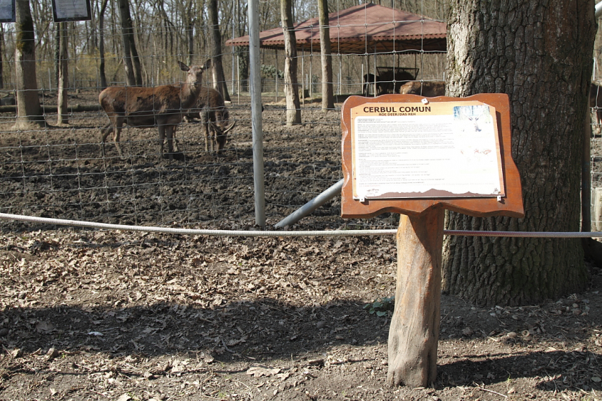 Grădina Zoologică „Pădurea Verde” din Timișoara