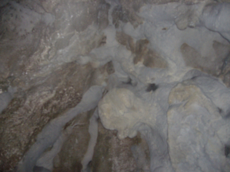Peștera lui Bogdan