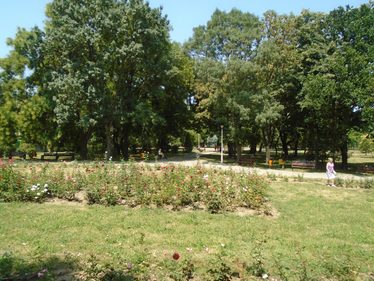 Parcul Floreasca