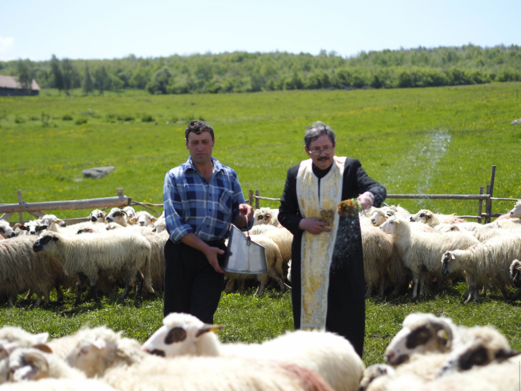 Măsura oilor – o altă sărbătoare a satului Dumbrava