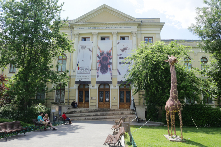  Muzeul Național de Istorie Naturală „Grigore Antipa”