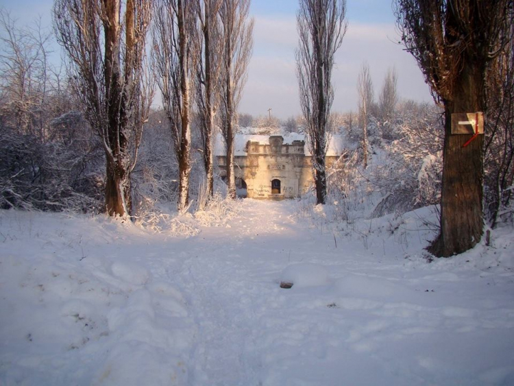 Forturile Bucureștilor