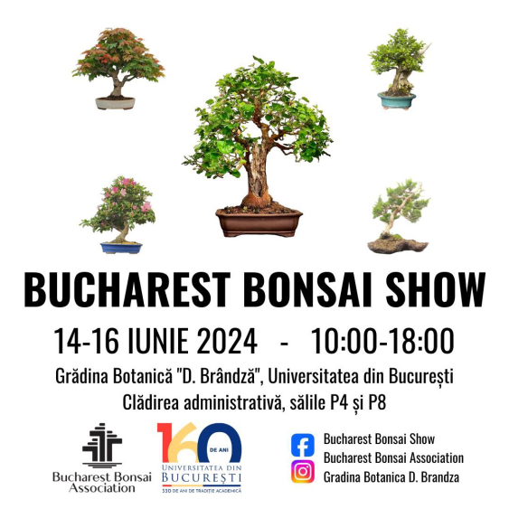 Bucharest Bonsai Show 2024 @ Grădina Botanică