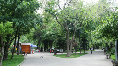 Parcul Ioanid 