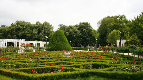 Parcul Rozelor din Timișoara