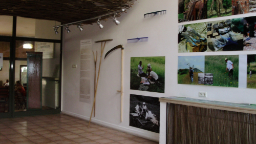 Poveștile fânului spuse în imagini la Muzeul Țăranului Român
