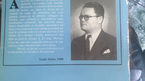 Vasile Netea
