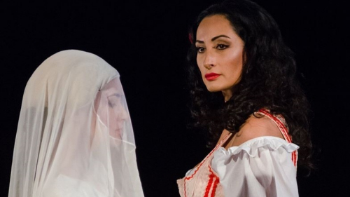 Ljubica Vraneș și Dragoljub Bajic, invitați în spectacolul „Carmen” de pe scena Operei Naționale București