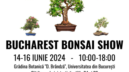 Bucharest Bonsai Show 2024 @ Grădina Botanică