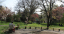  Parcul Botanic
